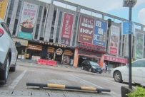 【广州从化】江浦凤凰