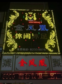 【东莞樟木头】金凤凰