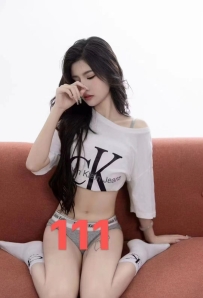 【禅城区】鄱湖111实战测评